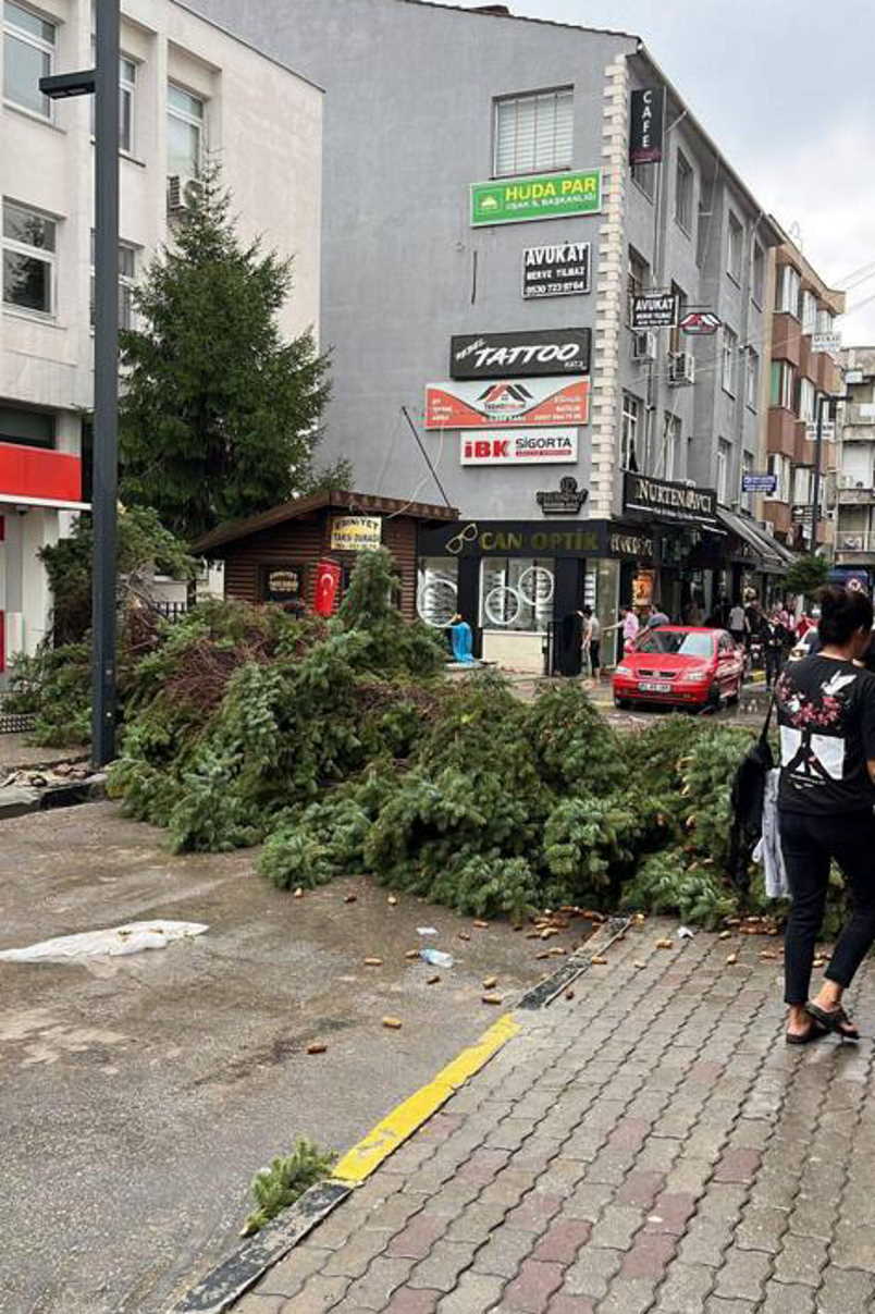 cadde-agac-devrilme-goruntusu.jpg