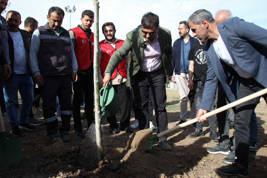 aa-20231111-32812930-32812928-usaktaki-yesil-karagaac-mesire-alanina-11-bin-fidan-dikildi.jpg