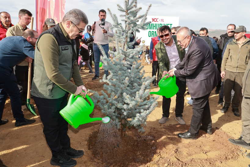 usak-fidan-dikimi-3.jpg