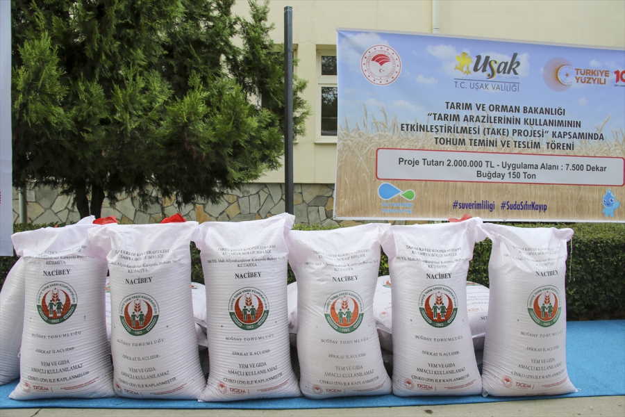 usakta-ciftcilere-150-ton-bugday-tohumu-dagitildi-2.jpg