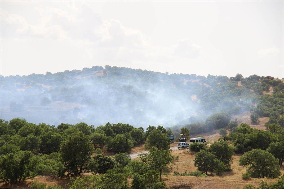 arpa-tarlasi-2.jpg