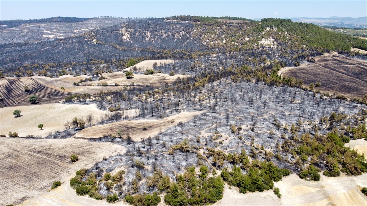 usaktaki-orman-yangininda-aci-tablo-1.jpg