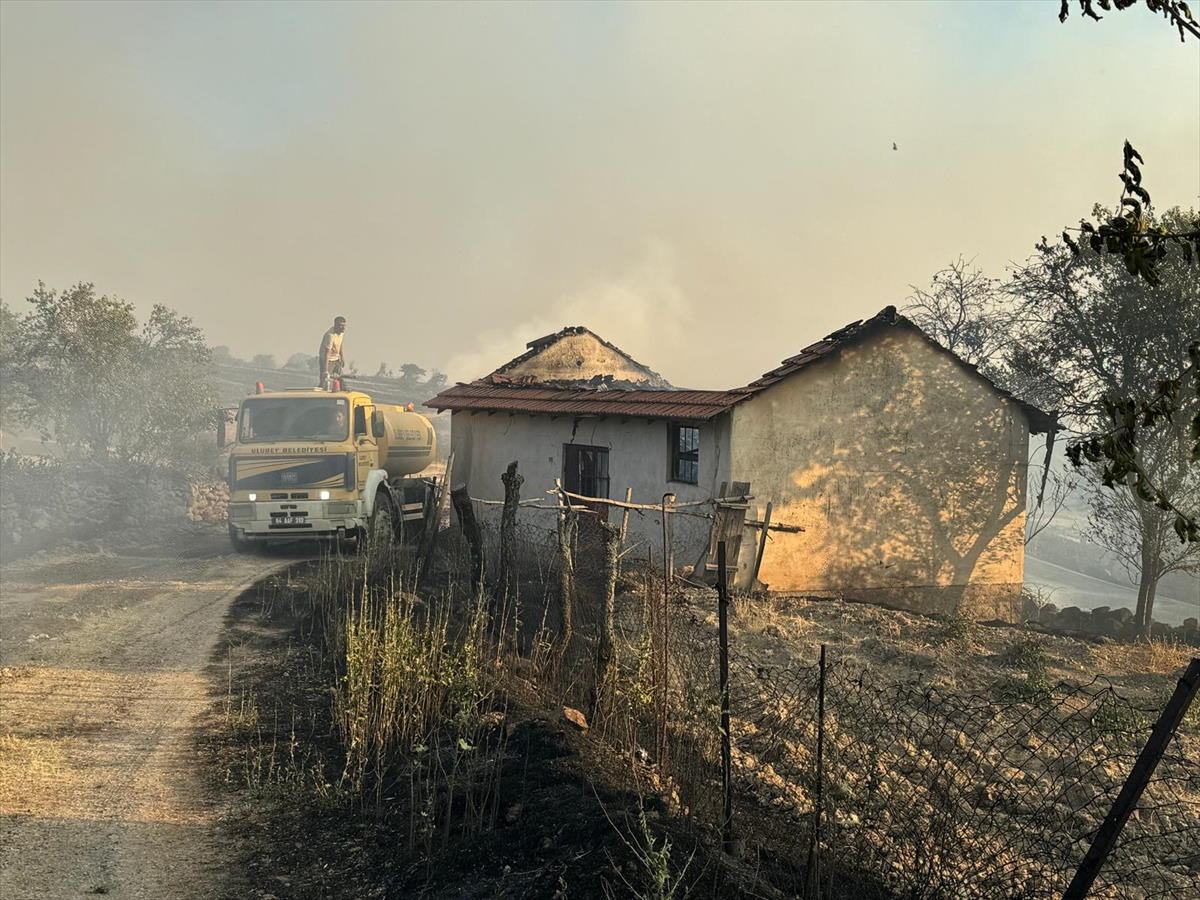 aa-20240621-34937144-34937139-usakta-orman-yanginina-mudahale-ediliyor.jpg