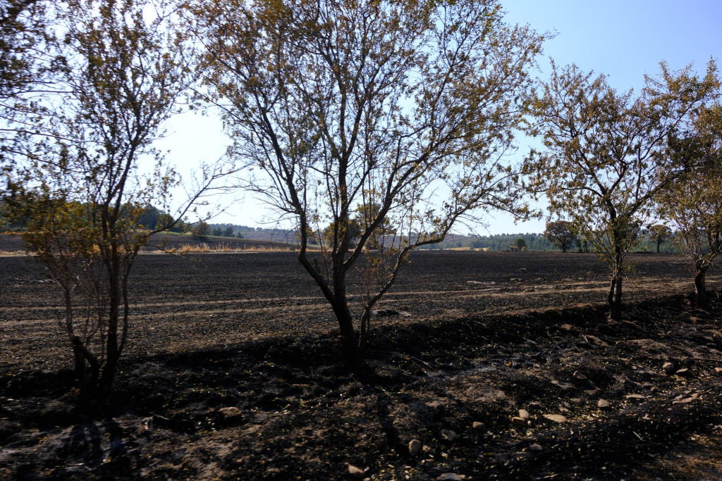 usak-yangin-bolgesi-1.jpg