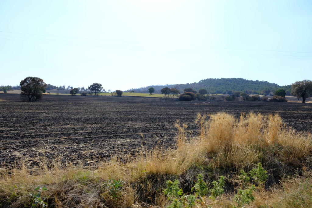 usak-yangin-bolgesi-2.jpg