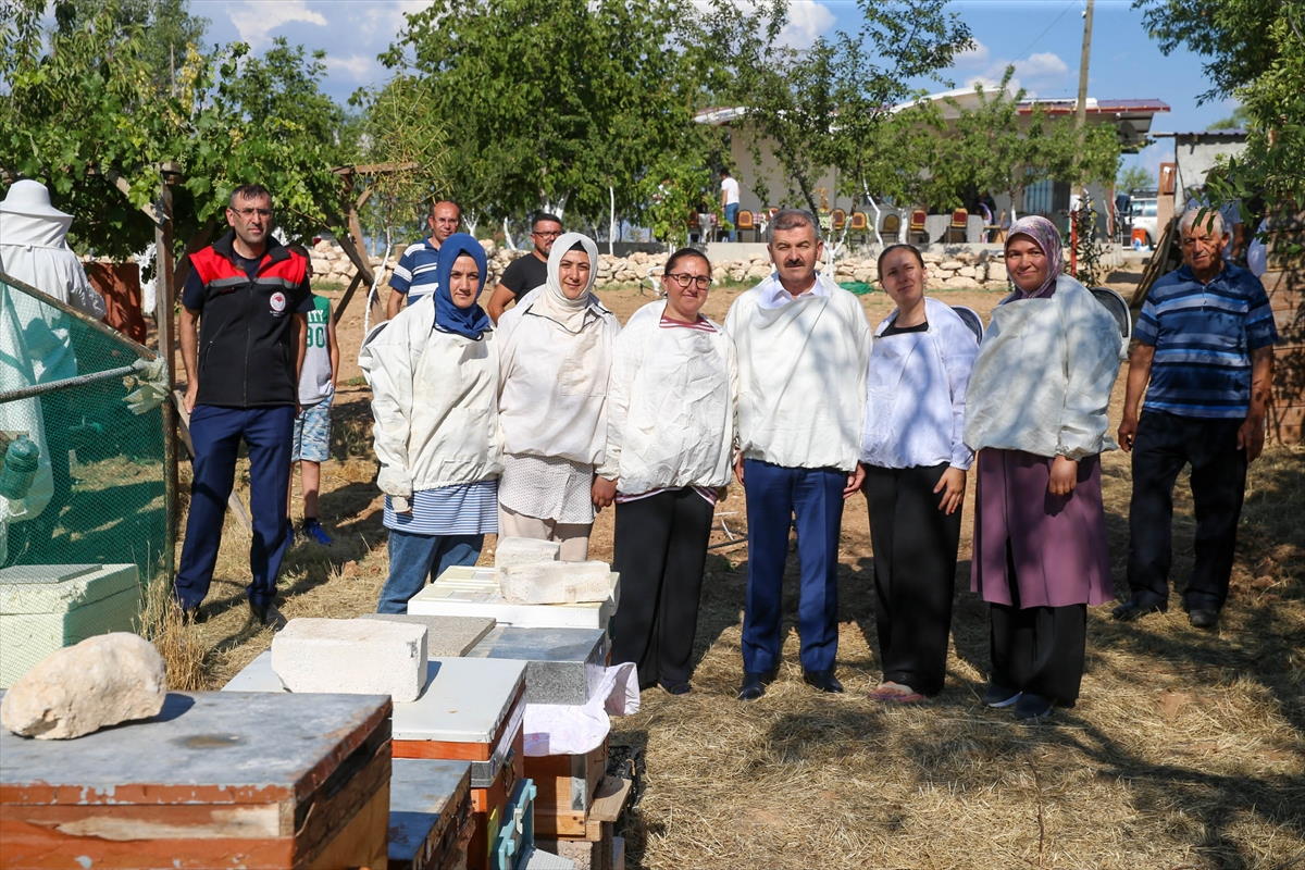 usak-aricilik-1.jpg