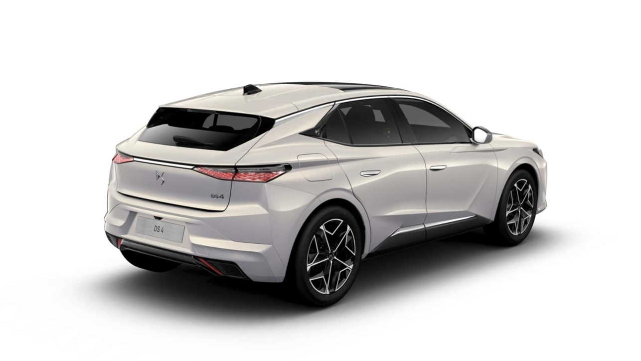ds-4-pallas-2.jpg