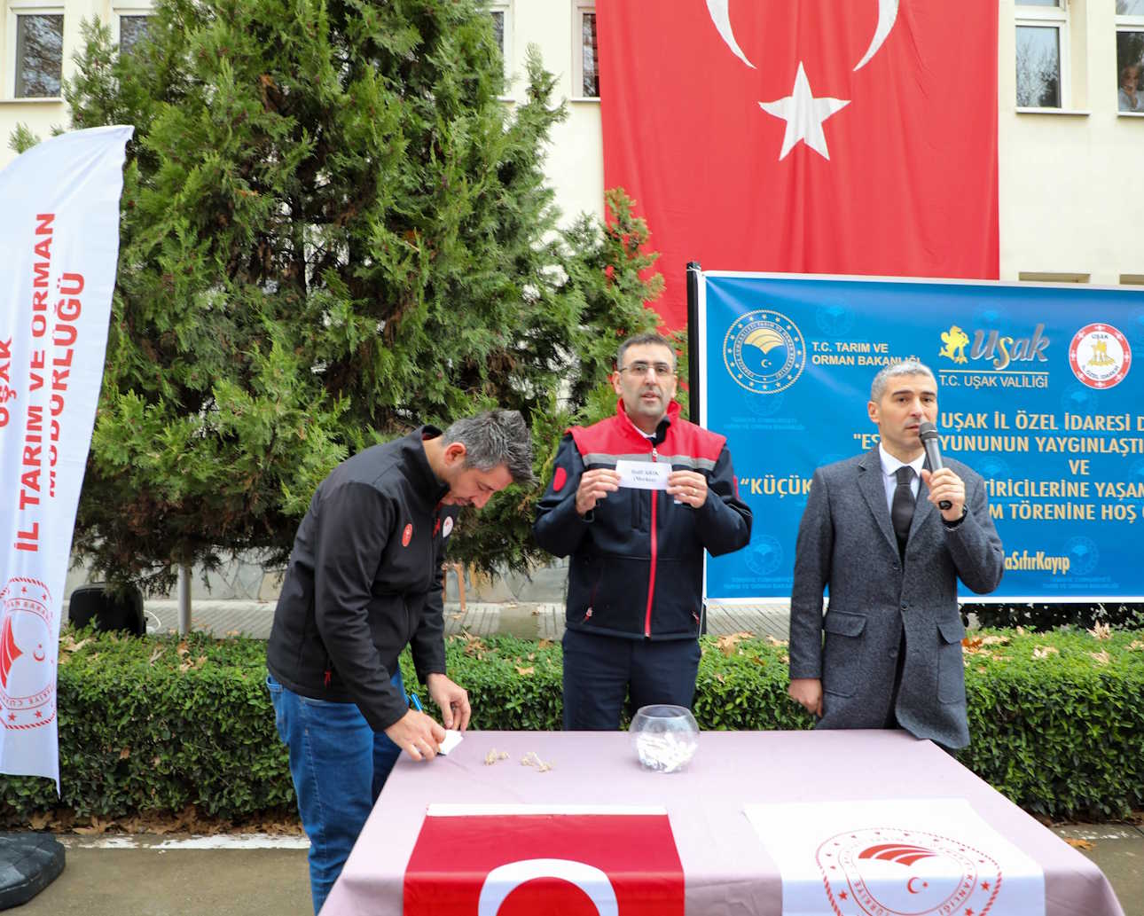 esme-koyunu-projesi-3.jpg