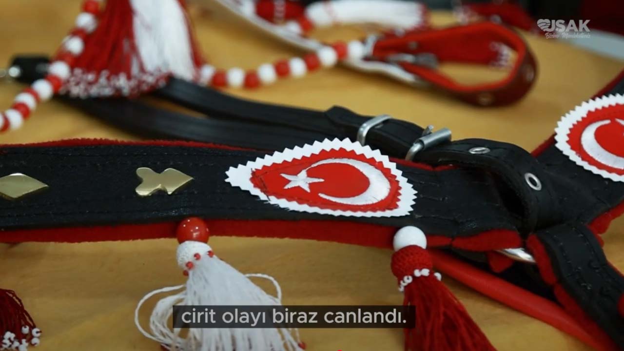 sarac2.jpg