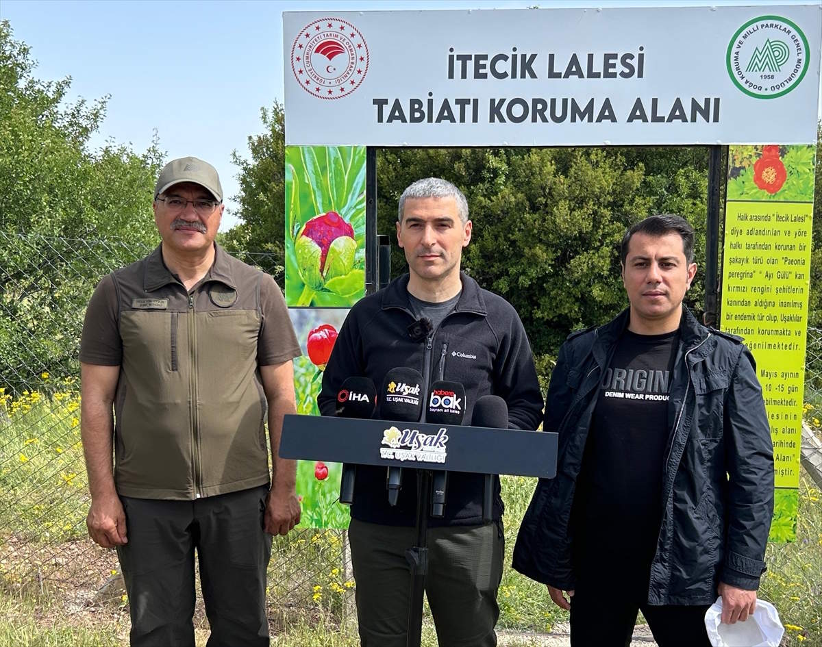 itecik-lalesi-4.jpg