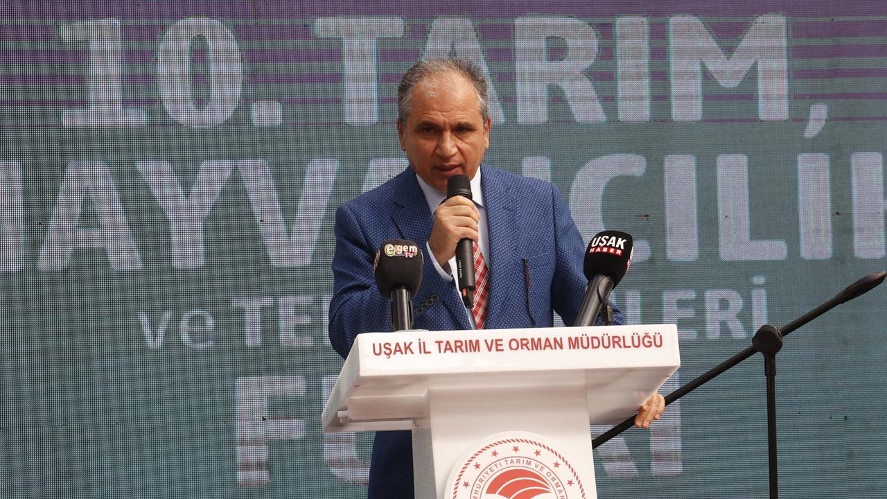 ismail-gunes.jpg