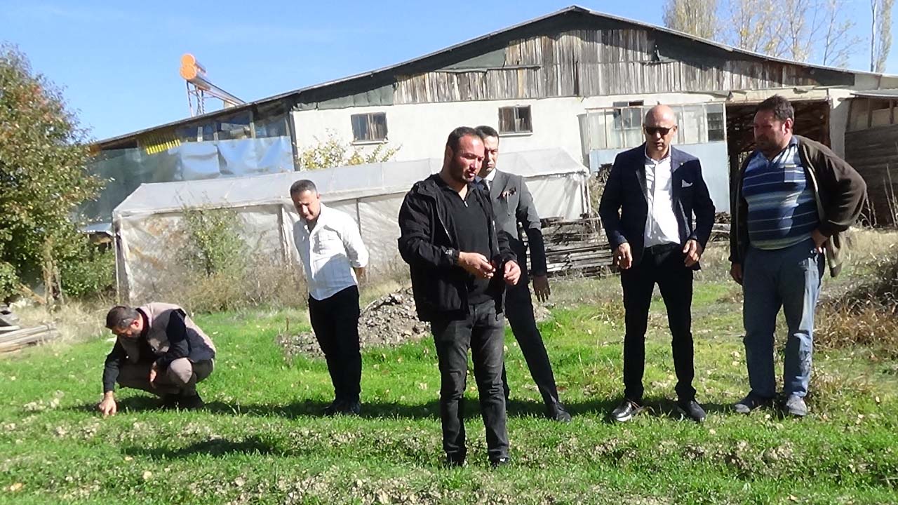 usak-safran-uretimi.jpg