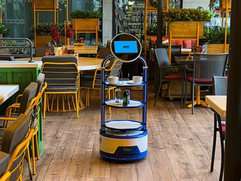 teknoak-bilisim-servis-robotu-1.webp