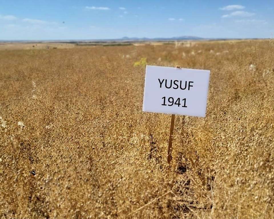 yusuf1941-corek-otu